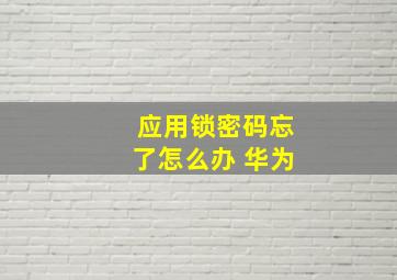 应用锁密码忘了怎么办 华为